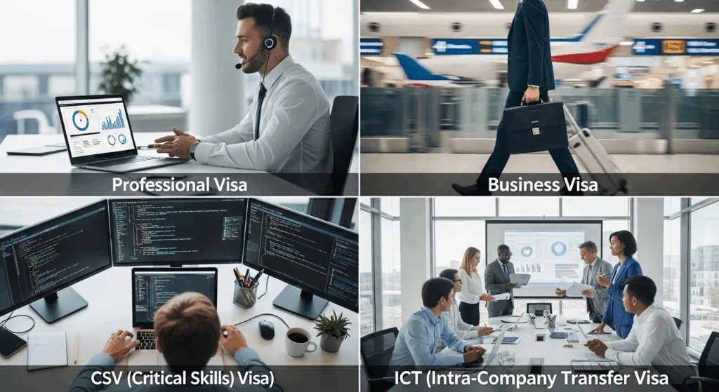 Visual guide to the main types of South African work visas.
